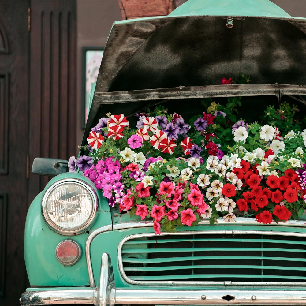love your car with flowers